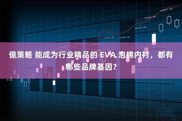 億策略 能成为行业精品的 EVA 泡棉内衬，都有哪些品牌基因？