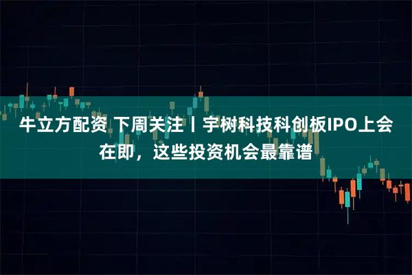 牛立方配资 下周关注丨宇树科技科创板IPO上会在即，这些投资机会最靠谱